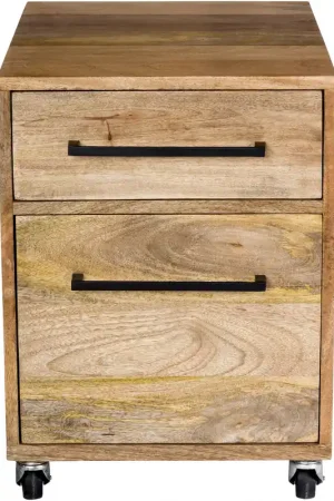 Affordable Colvin Natural Mobile Pedestal