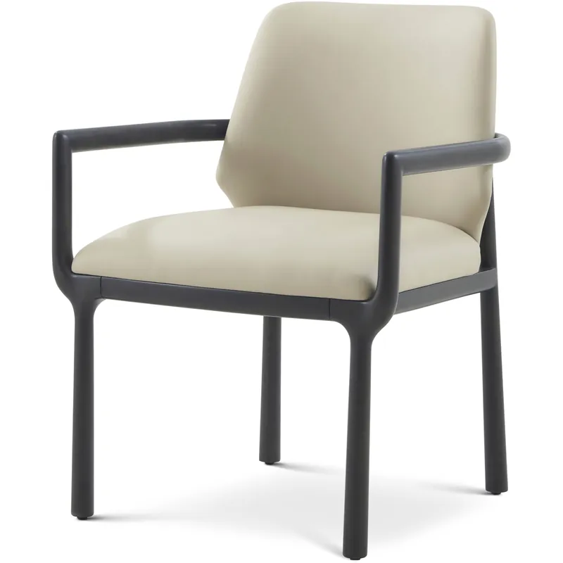 Kesden Silent Black Dining Chair, Wooden, Upholstered Premium