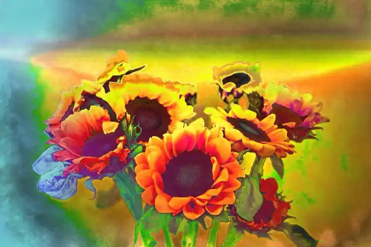 ▷ Sunflowers by Sumit Mehndiratta, 2025 | Inkjet Photographies Seasonal Sale