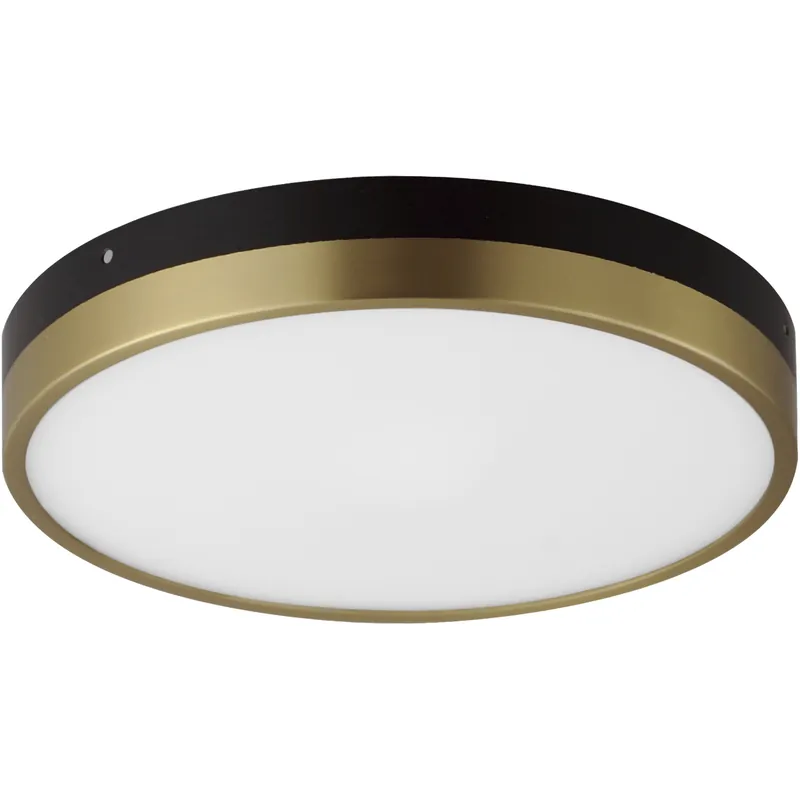 Express Delivery Dapper LED 12 inch Black and Antique Brass Flush Mount Ceiling Light