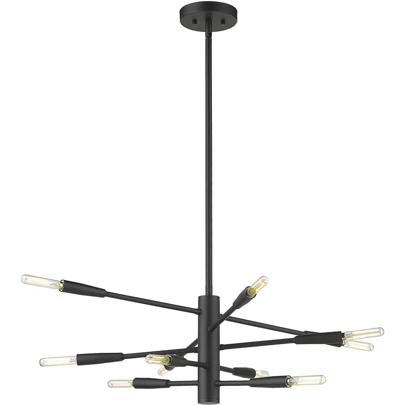 Ascension 10 Light 23.25 inch Matte Black Chandelier Ceiling Light Top Pick