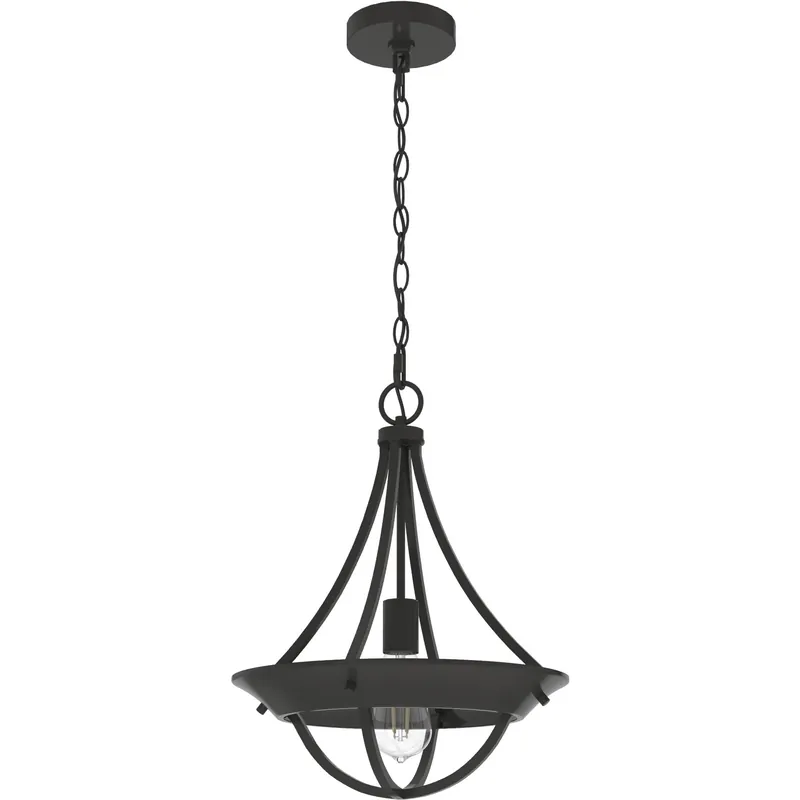 Place Order Perch Point 14 inch Pendant Ceiling Light