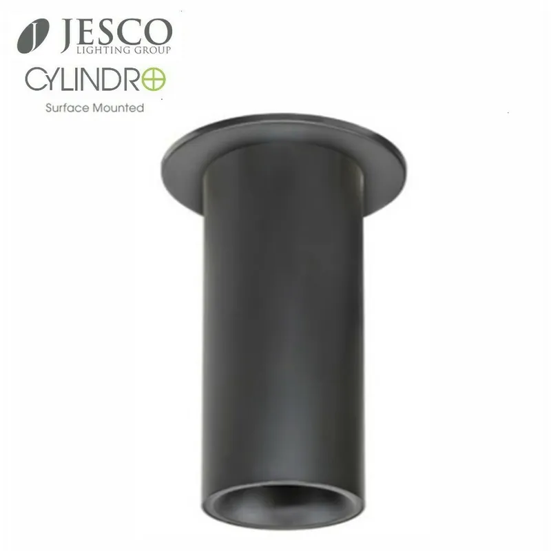 Deal CYLINDRO LED 4.5 inch Black Indoor Ceiling Fixture Ceiling Light