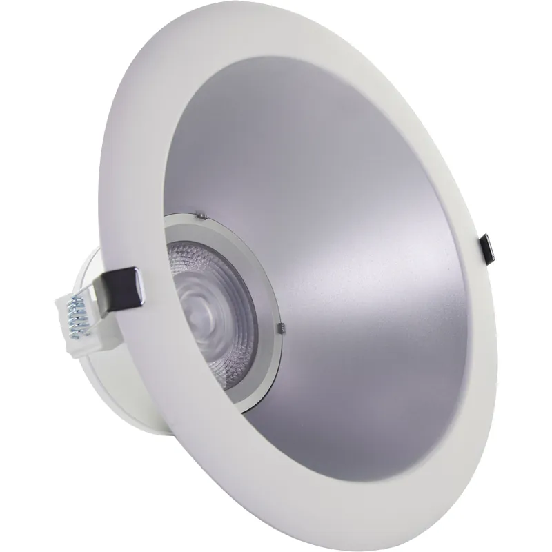Exclusive Edgewood Silver Recessed, ColorQuick