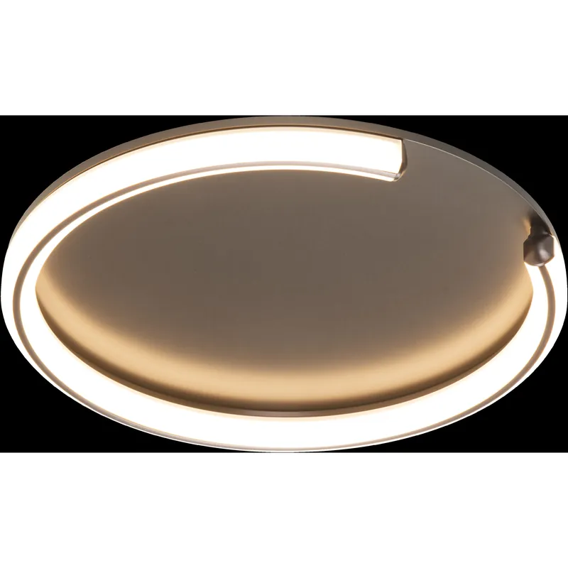 Anela LED 17.72 inch Brushed Champagne Flush Mount Ceiling Light One Day Deal