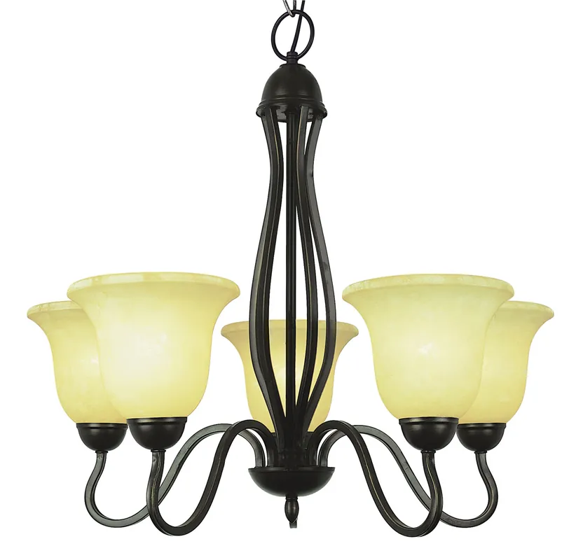 Sale Farmhouse 5 Light 26 inch Rubbed Oil Bronze Chandelier Ceiling Light in Tea Stain