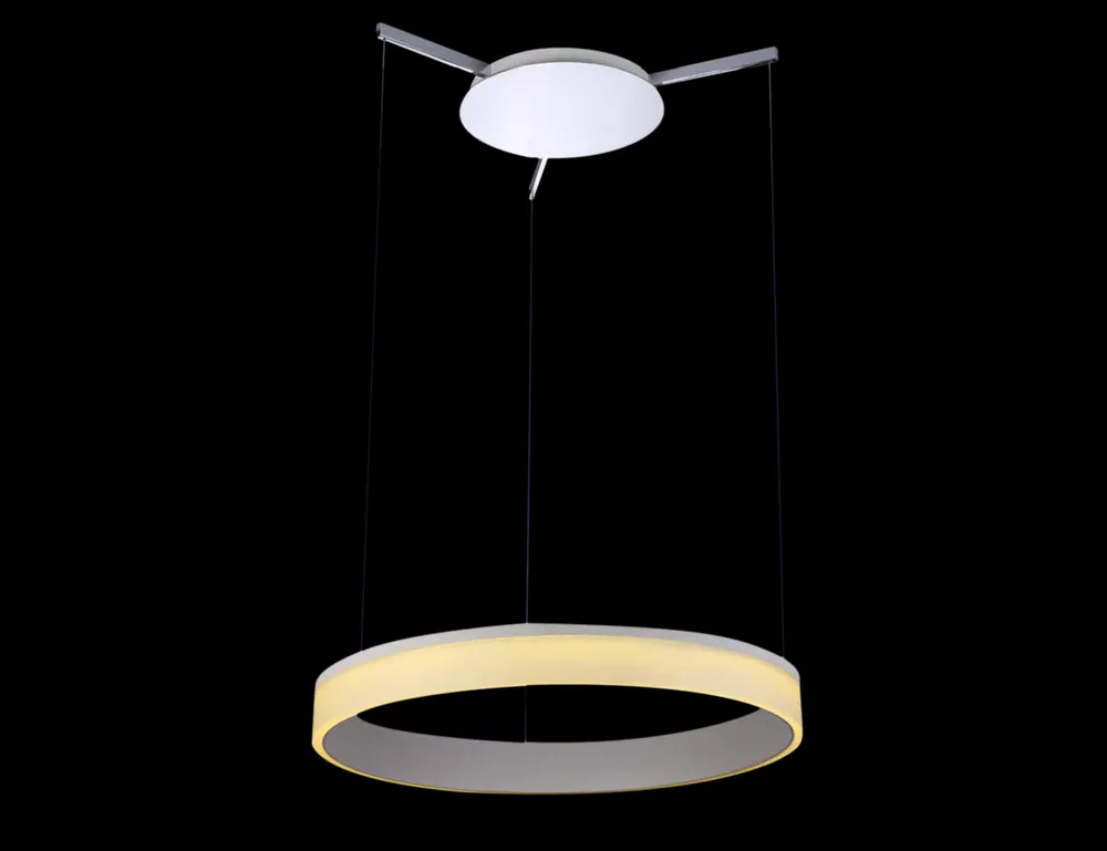 Worldwide Shipping 298 Series 24 inch Silver Metal Pendant Ceiling Light