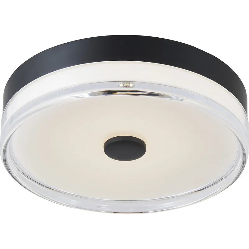 Bargain Iris LED 11.5 inch Matte Black Flush Mount Ceiling Light