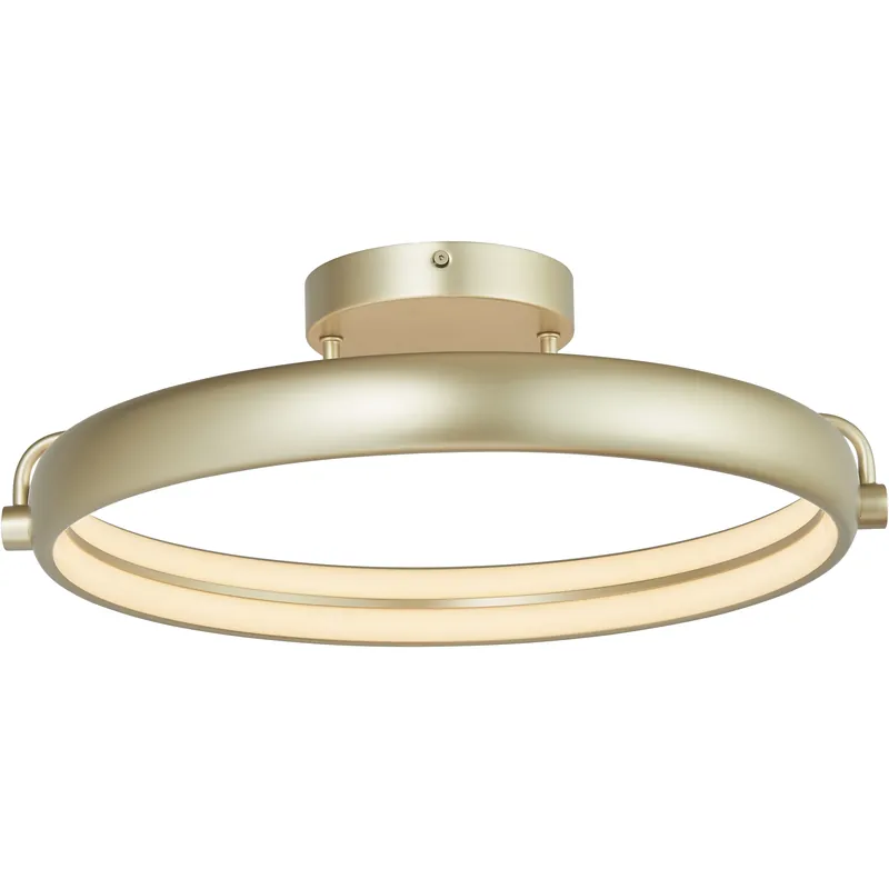 Rave LED 18 inch Titanium Silver Flush Mount Ceiling Light Worldwide Shipping