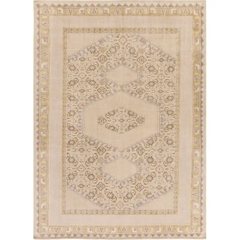 Zahra 66 X 42 inch Khaki, Tan, Camel, Dark Brown, Beige Rug Special Discount