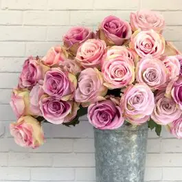 Viral 3 Stem Summer Garden Rose Bundle