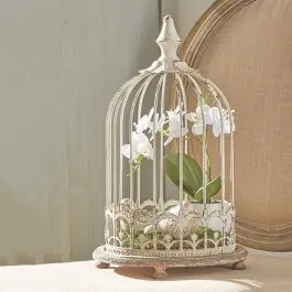 Buy Direct Decorative Birdcage Cloche