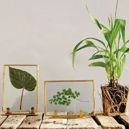 Metal Framed Photo Frame Set of 2 Factory Price
