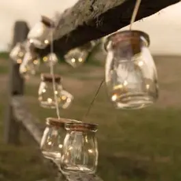 Genuine Glass Jar Firefly LED String Lights