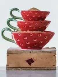 Strawberry Stoneware Prep Bowls Set of 3 Price Cut