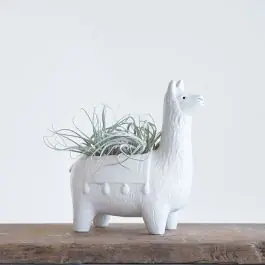 Llama Shaped Ceramic Planter Hot Picks