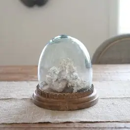 Get Yours Glass Cloche With Carved Wood Base