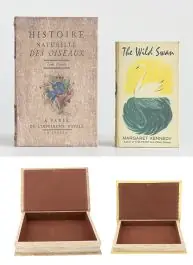 Canvas Book Hidden Storage Boxes Set of 2 Free Delivery