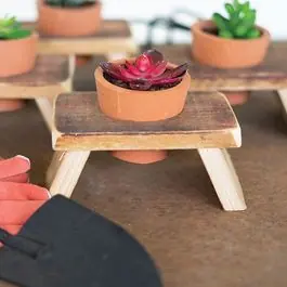 Terracotta Pot With Wood Base Set of 4 Genuine
