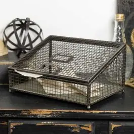 Worldwide Shipping Basket Tray Office Organizer