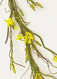 Forsythia With Moss Garland Super Sale