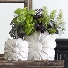 Next Day Delivery Gorgeous Porcelain Flower Pot Set of 2