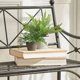 Lush Lifelike Fern Plants Set of 3 New Release
