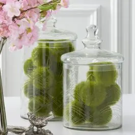 Etched Glass Lidded Canisters Set of 2 Today Only