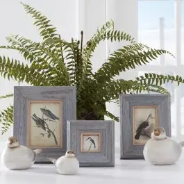 Luxury Farmhouse Photo Frame Collection Set of 3
