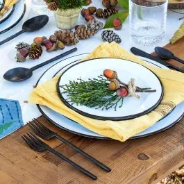 Classic Enamelware Dessert Plate Set of 4 Holiday Sale
