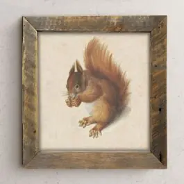 Flash Sale Rustic Framed Vintage Squirrel Wall Art