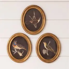 Save Now Perched Birds Framed Print Set of 3