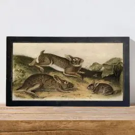 Rustic Framed Vintage Playing Bunnies Wall Art Clearance