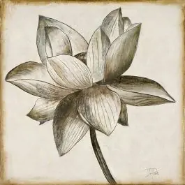 Sepia Tone Floral Wall Art Today Only