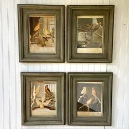 Warranty Included Framed Canary Print Set of 4