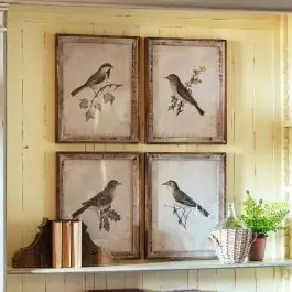 Framed Songbird Wall Art Set of 4 Instant Buy