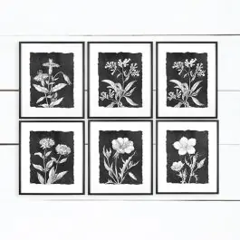 Trusted Brand Clean and Classic Framed Botanical Print Set of 6