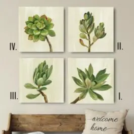 Super Sale Front Yard Succulent Canvas Art