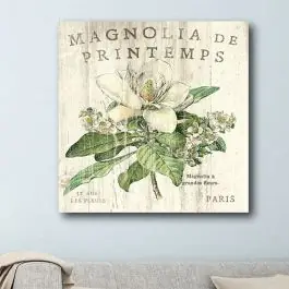 French Country Magnolia Canvas Wall Art Same Day Shipping