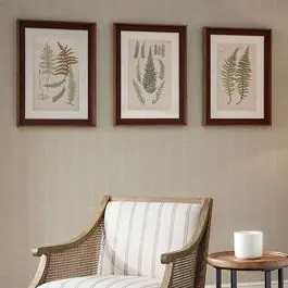 Last Chance Fern Single Mat Framed Print Set of 3