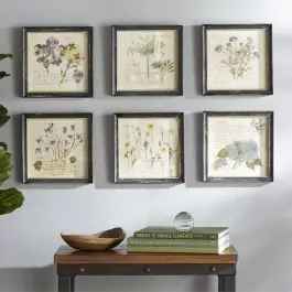 Vintage Inspired Flower Prints Set of 6 Today Only