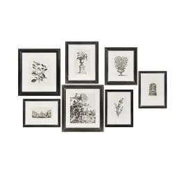Place Order Framed Black and White Botanical Prints Set of 7