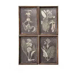 Dark Botanical Framed Print Set of 4 Warranty Included