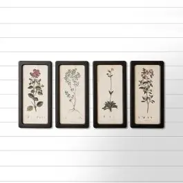 Black Framed Botanical Print Set of 4 Direct From Factory
