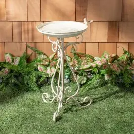 Express Delivery Enchanting Scrolled Bird Bath