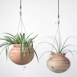 Money Back Guarantee Hanging Clay Pot