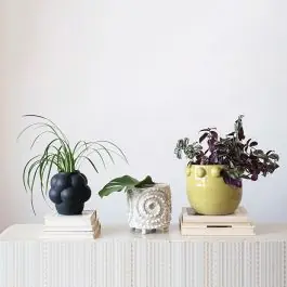 Modern Classics Planter Pot Collection Authentic