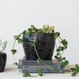 Exclusive Offer Geometric Terra Cotta Planter Pot 6.5 Inch