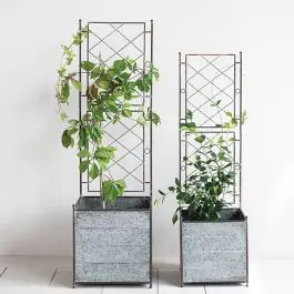 Galvanized Metal Planter With Trellis Set of 2 Wholesale