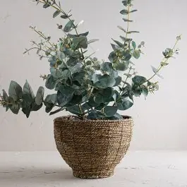 Best Seller Seagrass Basket Planter 7 inch